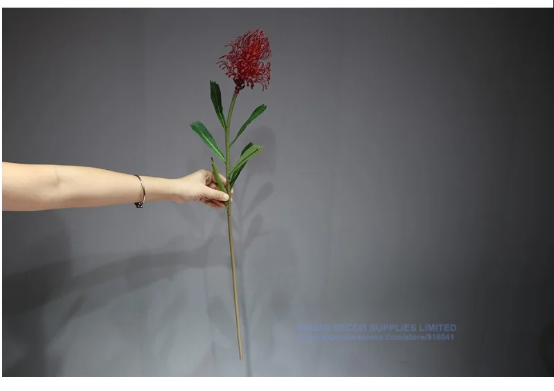 Индиго-5 шт. красный Leucospermum Cordifolium Гортензия Nutans цветок свадебные цветочные события вечерние цветы на стол