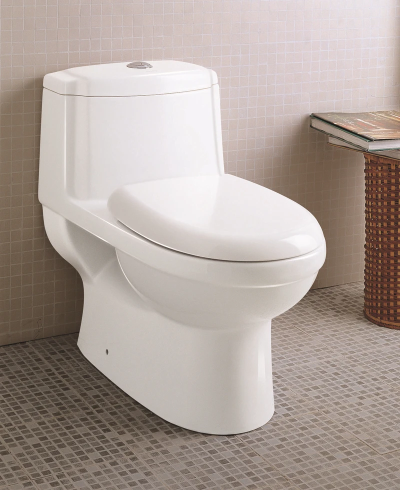 CUPC Comfort Height One Piece Ceramic Toilet with Dual Flush Technology