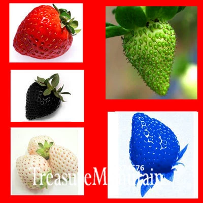 50Pcs Mixed Color Strawberry Fruit Plant Seeds Bonsai Balcony Garden Decor USA 50Pcs Mixed Color Strawberry Fruit Plant Seeds Bonsai Balcony Garden Decor USA