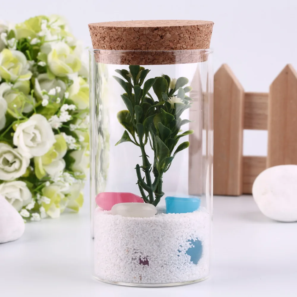 

350ml Clear Transparent Heat-resistant Glass Bottle with Sealed Cork Beans Tea Leaves Storage Container Vase Drop Shipping Sale