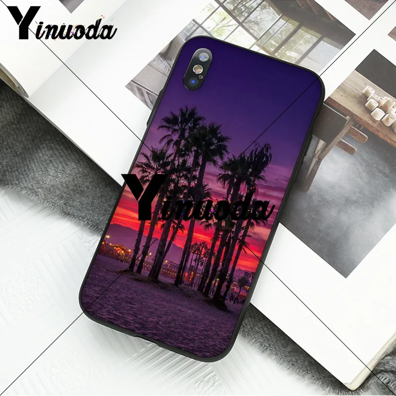 california trees Beach Surf Travel 