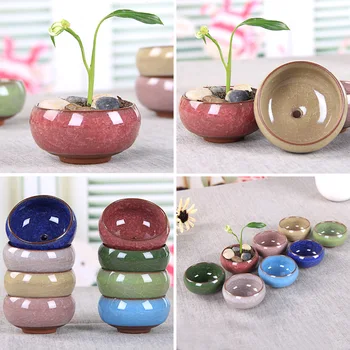 

4 Pieces Mini size 6.5x6.5x3.5cm Micro Landscape Artificial Flowers Succulent Plants Pot Tiny Ceramic Flower Pot bonsai