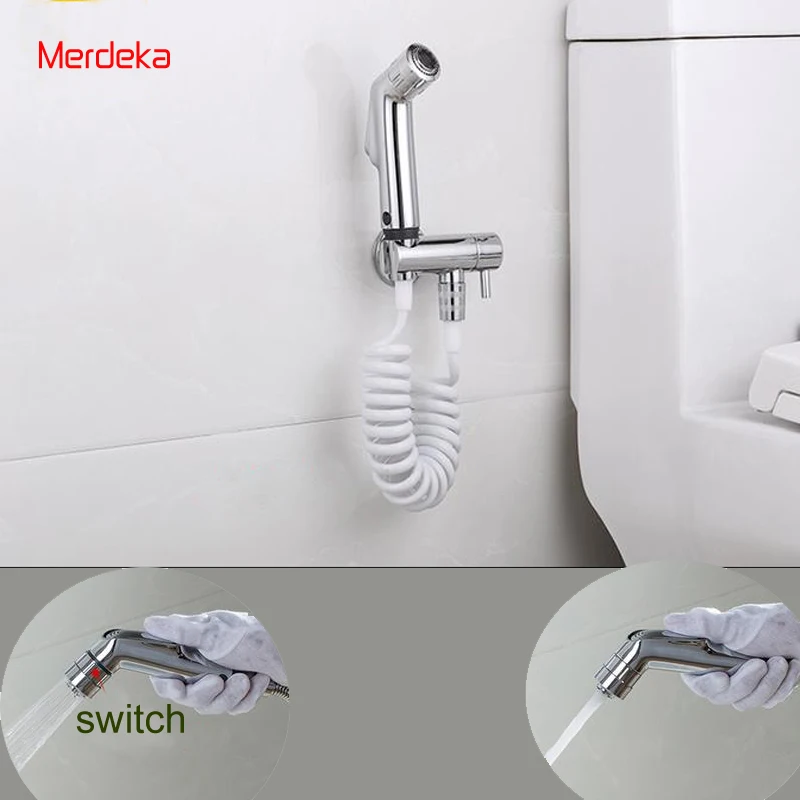 Clearance Toilet Hand Held Bidet Spray Shower Head Douche Kit Shatta