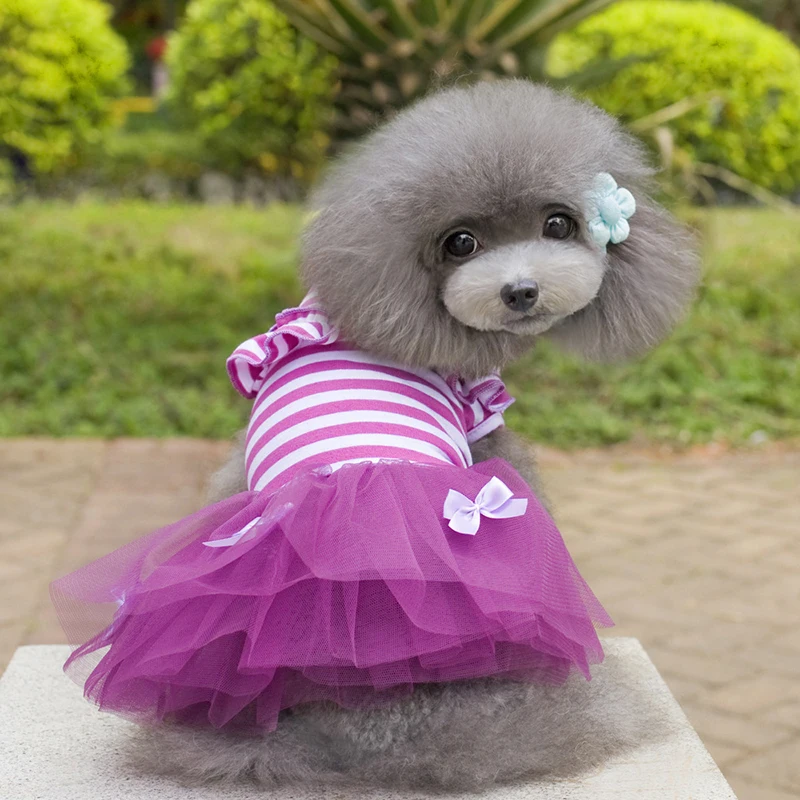 2018 New Fashion Spring and Summer Pet Puppy Dress Teddy Princess Dog