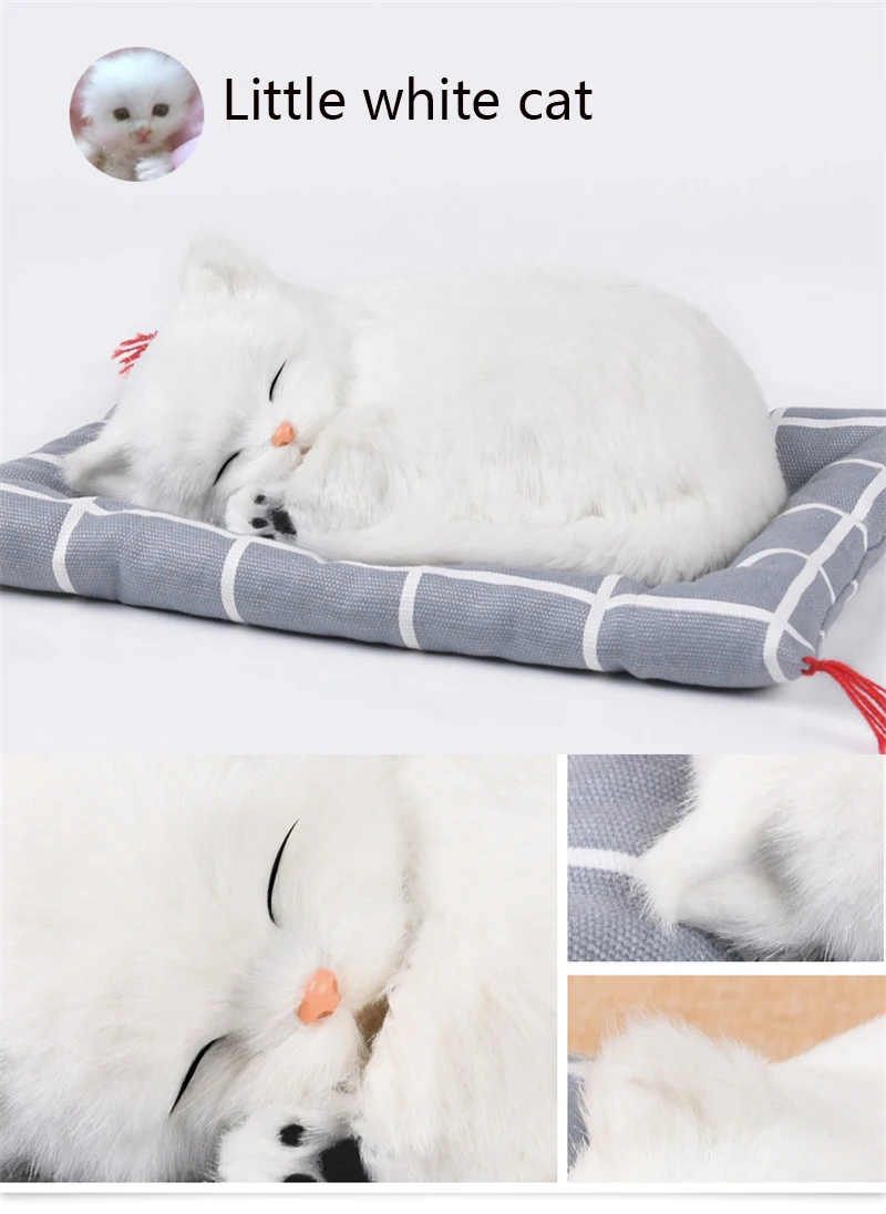 plush toy (2)