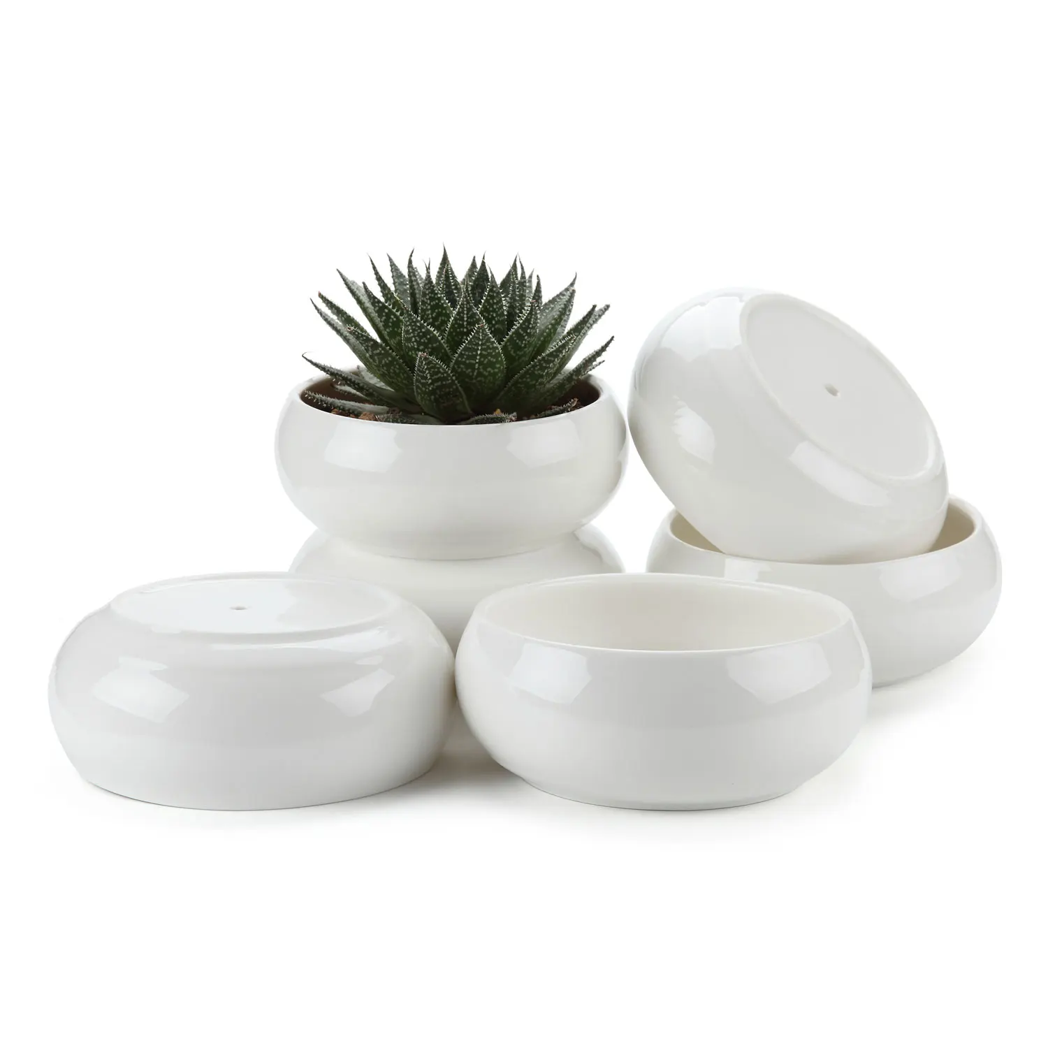 

T4U 6.5 Inch Ceramic White Round Simple Design succulent Cactus Plant Pot Flower Pot Container/Planter Package 1 Pack of 6