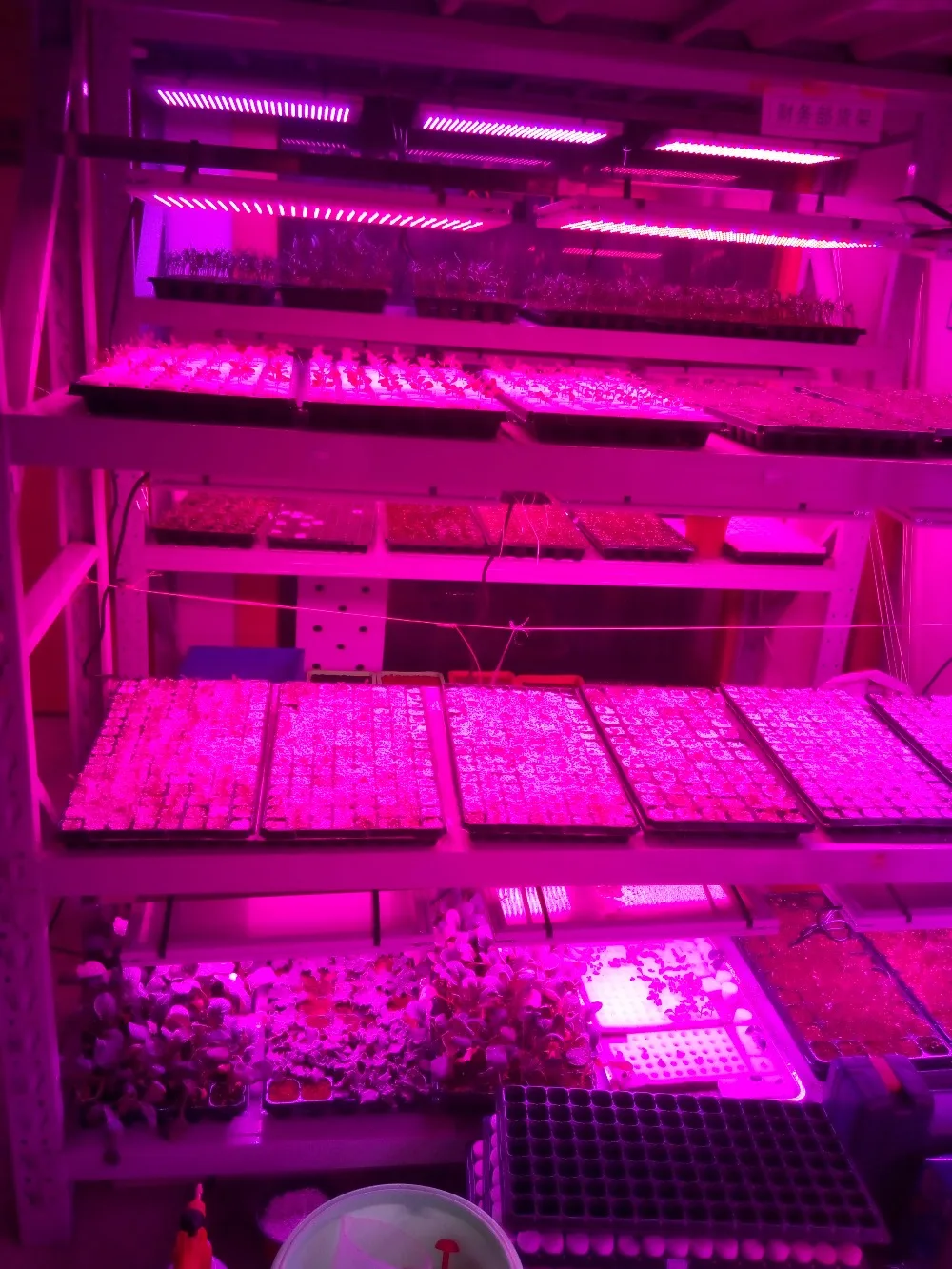25 Вт 47W светодиодный Grow светильник Панель садоводства ing Group Quantum доска Veg & Bloom 4000K