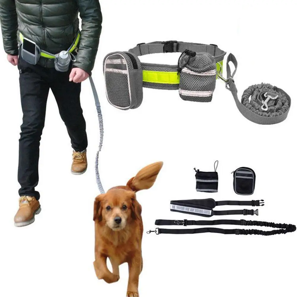 Adeeing correa ajustable para perro, correa de plomo, cinturón