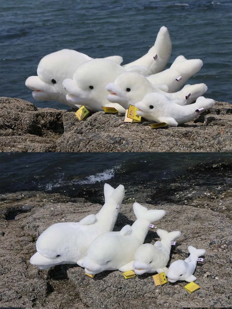 1 - 