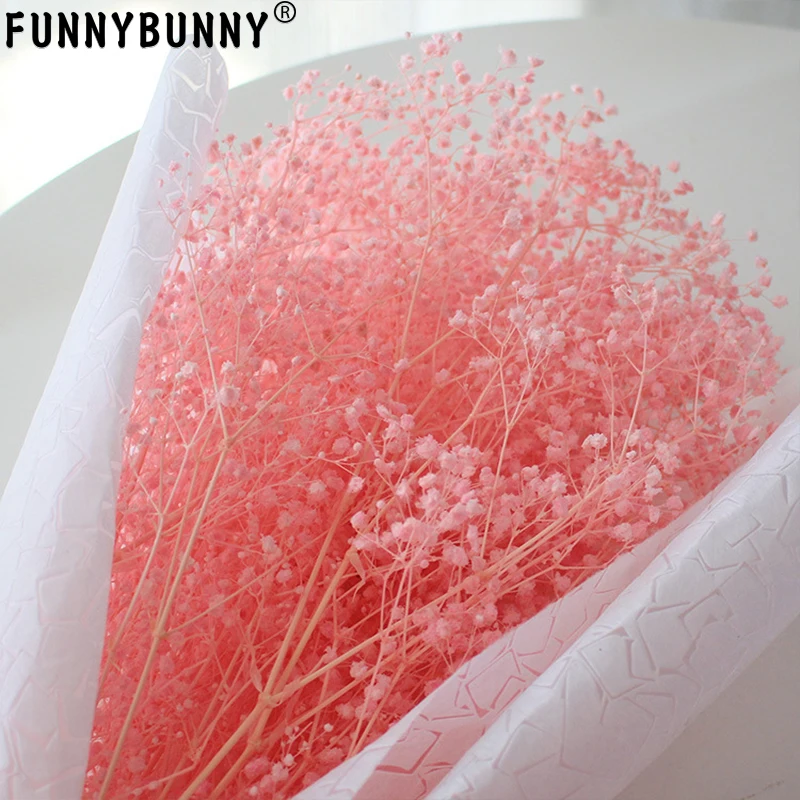 

FUNNYBUNNY 1PC Gypsophila Dried Flower Bouquet Natural Color Xia Cao Tanabata Birthday Valentine's Day Gift Dried Flowers