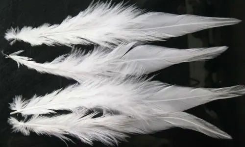 

100pcs/lot snow white Rooster saddle Hackle Feathers 6-8'' inch15-20cm craft feathers Hair extension feather