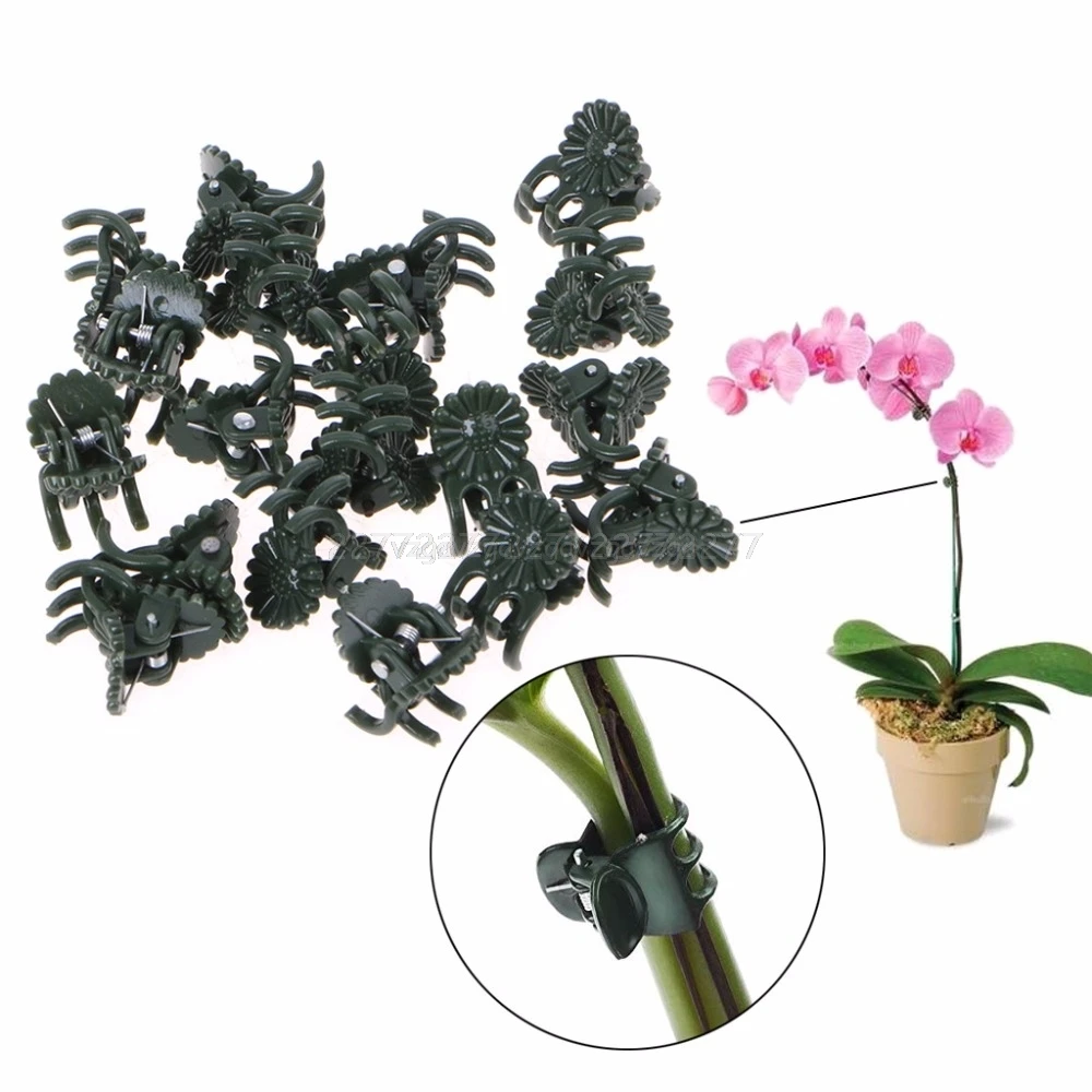 

20 Pcs Plastic Plant Fix Clips Orchid Stem Vine Support Vegetables Farm Flowers Fruit Tied Bundle Branch Clamping A18 19