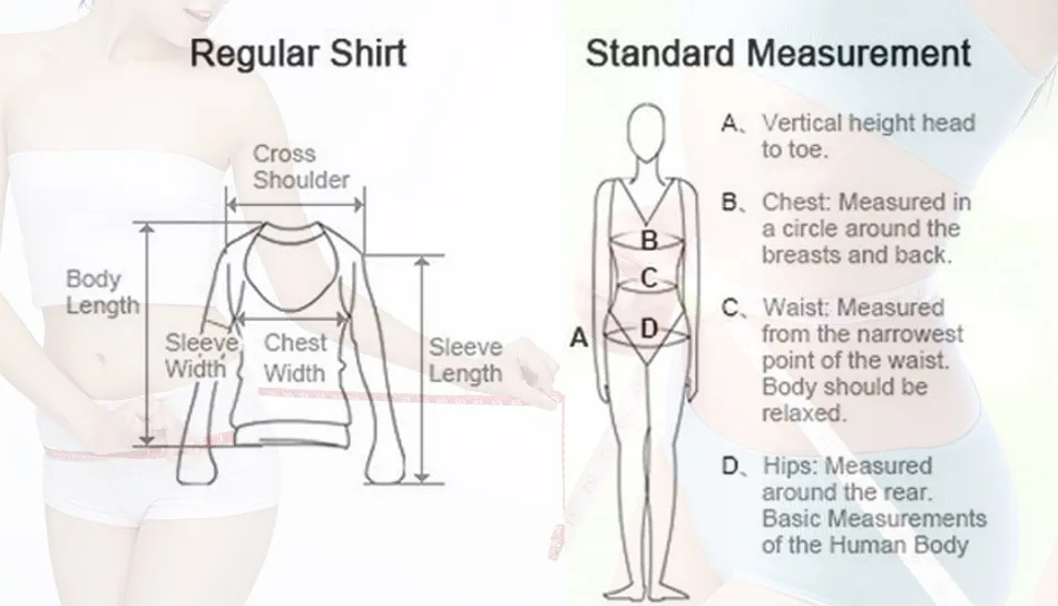 t shirt size model