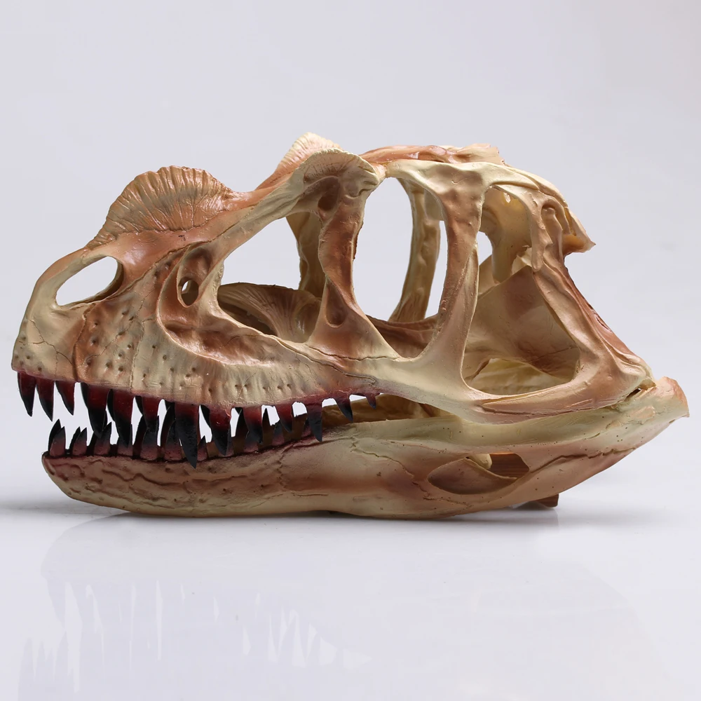 Top Grade Monolophosaurus Fossil Resin Dinosaur Skull Model Halloween Gifts Home Decoration-in