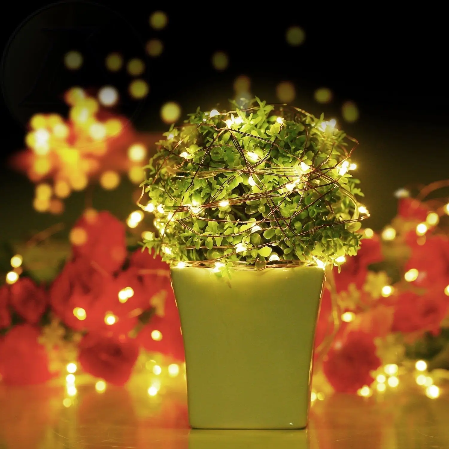 Рисунок 5 - Гирлянда с питанием от батарейки