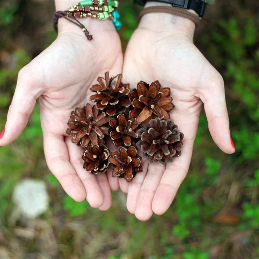 9 шт. Рождественская елка украшение сосновые шишки Pinecone Рождественский кулон Новогоднее украшение для вечеринки украшение для дома