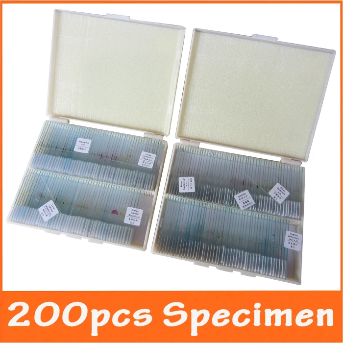Animal Laboratory Lab 200pcs Microscope Professional 1
