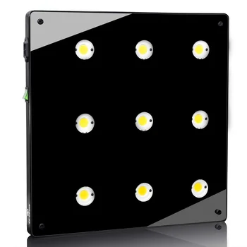 

Ultra-thin COB LED Plant Grow Light Full Spectrum BlackSun S9 LED Panel Lamp for Indoor Hydroponic Plants All Growth Stage