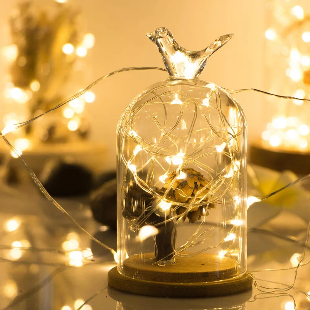 

10pcs/lot USB Plug in LED Fairy Light 50 100 LED Bulbs Copper Silver Wire String light for Bedroom Patio Garden Party Wedding