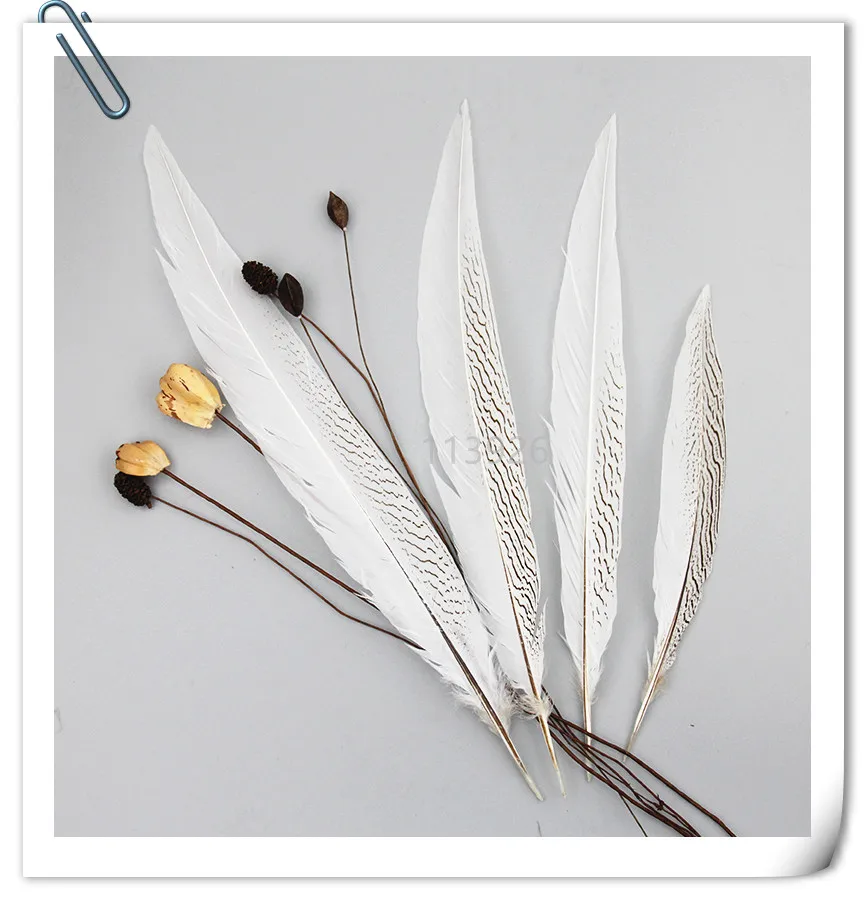wholesale long silver Pheasant Feather Natural white pheasant tail