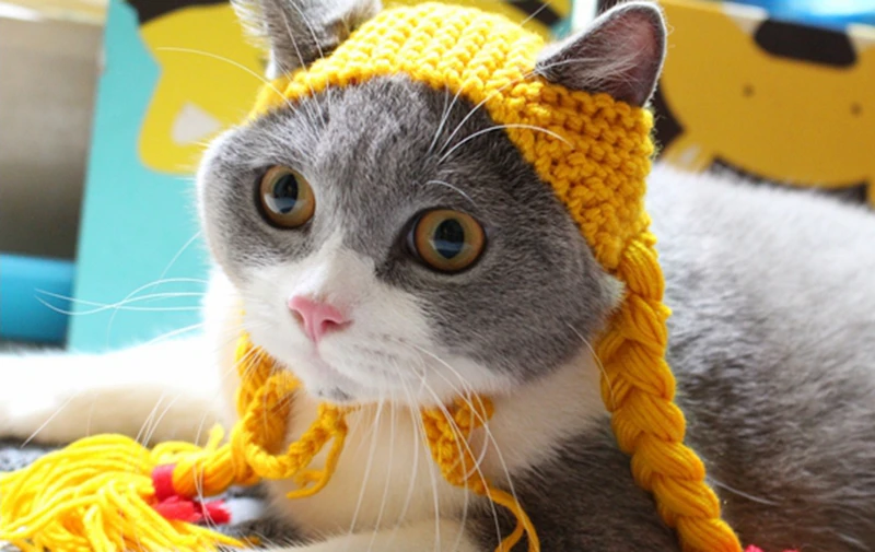 [MPK Store] Милые хвосты для кошек, кошачий головной убор, головной убор для котенка, костюм для домашних животных