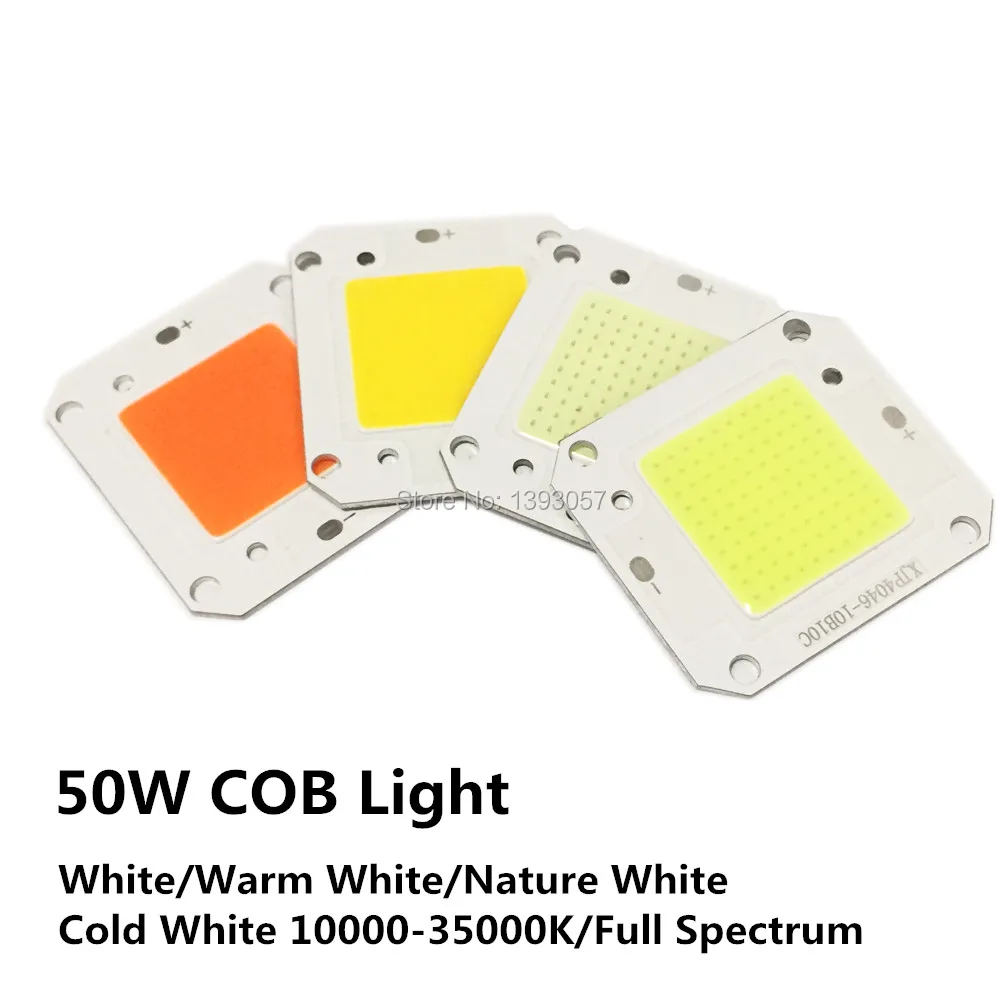 50W COB Light