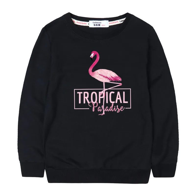 

2019 Autumn New Flamingos Hoodies Cotton Sweatshirts For Girls Loose Casual Pullover Tracksuit
