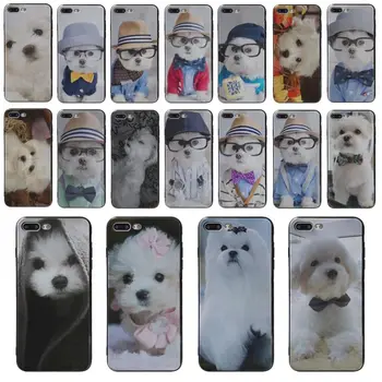 

Yinuoda luxury cell phone cases Awesome I Love My Maltese dog For iphone S5 SE X XS XR XSMAX 7 7p 8 8plus 6S 6PLUS 6 phome case