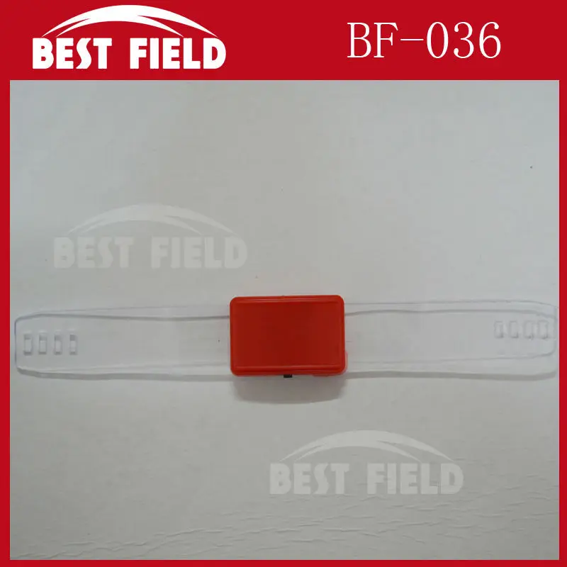BF-036013