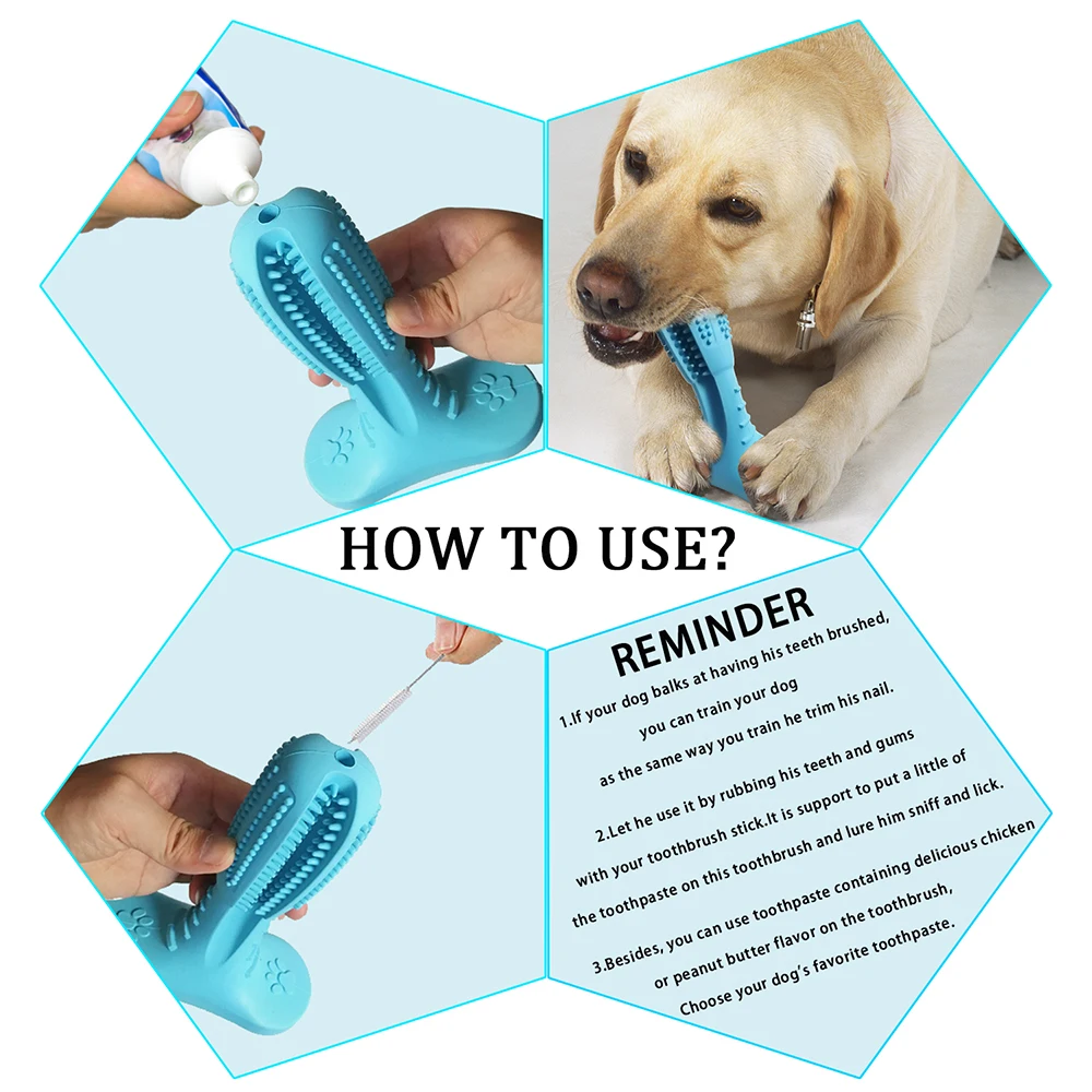 dog toothbrush 8
