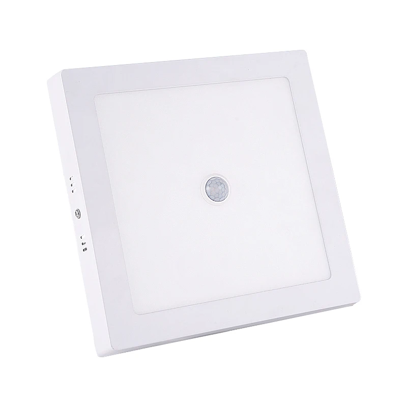 Surface Mounted LED Ceiling Lamps PIR Motion Sensor Night Light 6W/12/18W 24W Modern Ceiling Lights Living Room Balcony Corridor