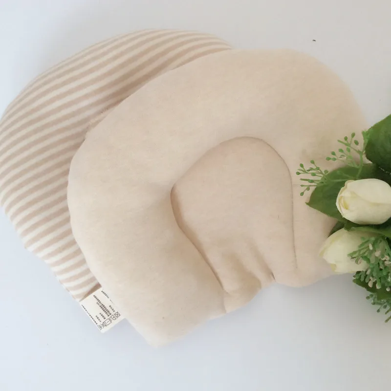 3523827384_439671353