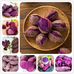100 шт фиолетового цвета для батата бонсай картофеля вкусный зеленый питание без ГМО овощи растение для домашнего сада Лучший подарок