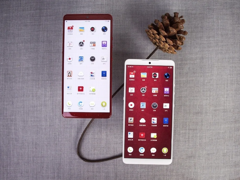 Разблокированный мобильный телефон Smartisan Nut Pro 2 S, 6,01 дюймов, 6 ГБ ОЗУ, 64 ГБ, две sim-карты, Восьмиядерный телефон Snapdragon 710 с функцией распознавания лица