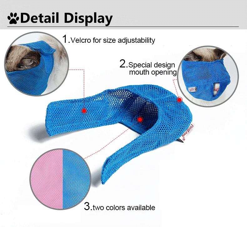 cat muzzle (2)
