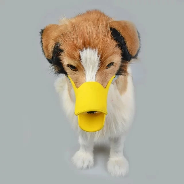Dog Mask (44).jpg
