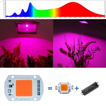 

Led Grow Light 20/30/50W LED Chip 110V 221V LED COB Bulb Chip Input Smart IC Fit For DIY LED Flood LED Lamp For Plants