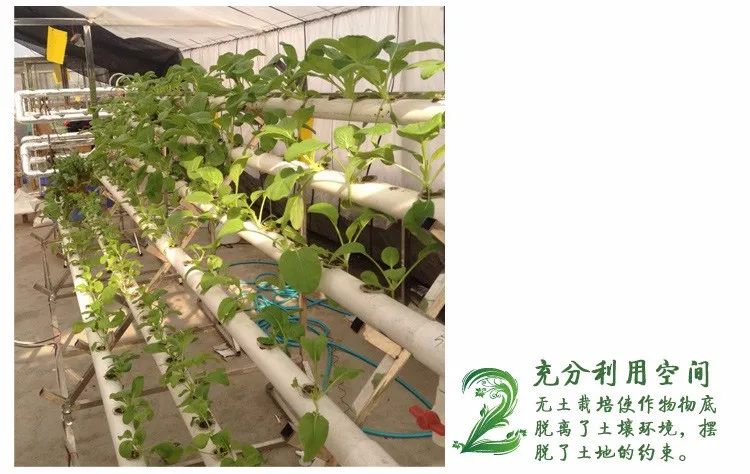 Новейшая система гидропоники для дома NFT с питательной пленкой, техника для выращивания растений, набор горшков для питомцев