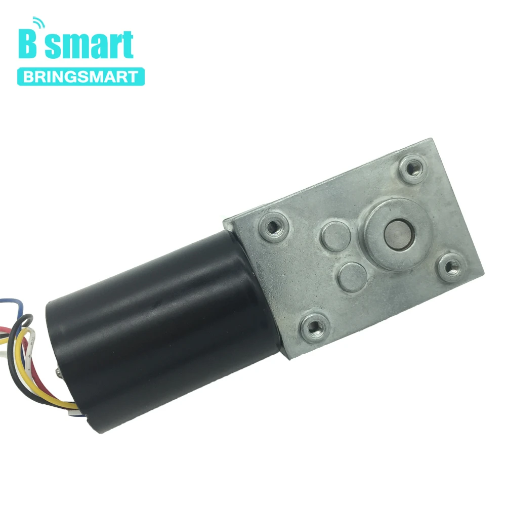 Bringsmart 브러시리스 DC 웜 기어 모터, BLDC 자동 잠금 제동 기어 박스, 맞춤형 전기 모터, 5840-3650, 12V, 24V, 8-470rpm