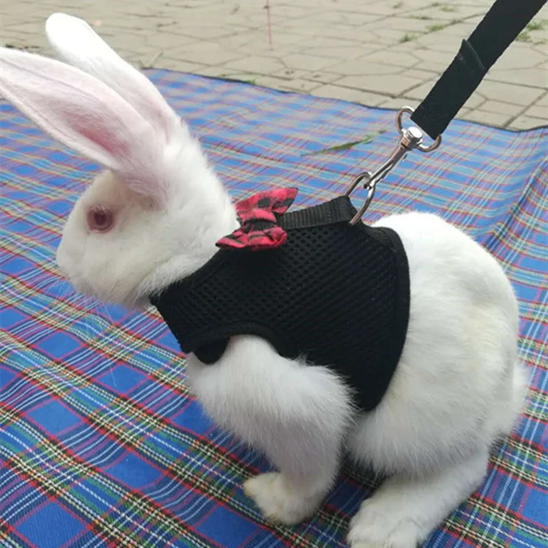 

Fashion Pet Mesh Soft Harness With Leash Small Animal Vest Lead for Hamster Rabbit Bunny Hogard JY04