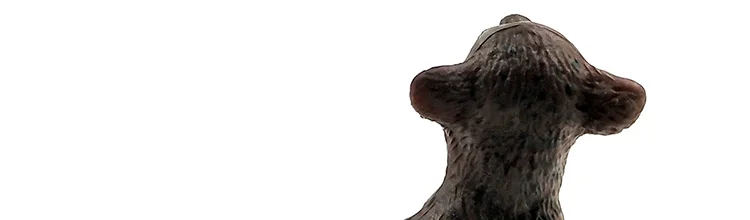 -2--DW-M-LP531-535_17