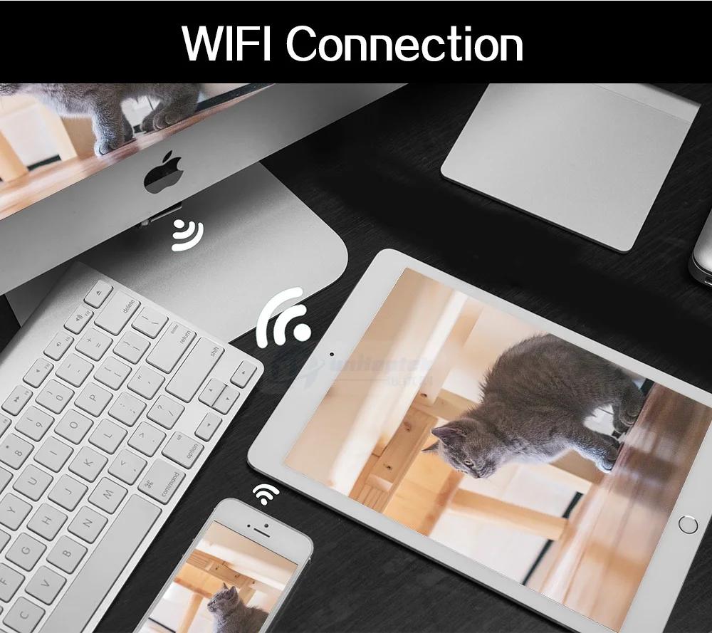 WiFi-H62-LOGO_02