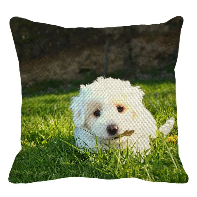 XUNYU милый белый чехол для подушки с изображением собаки, наволочка для дивана, кровати, домашний декор 45 см x 45 см, чехол для подушки C007