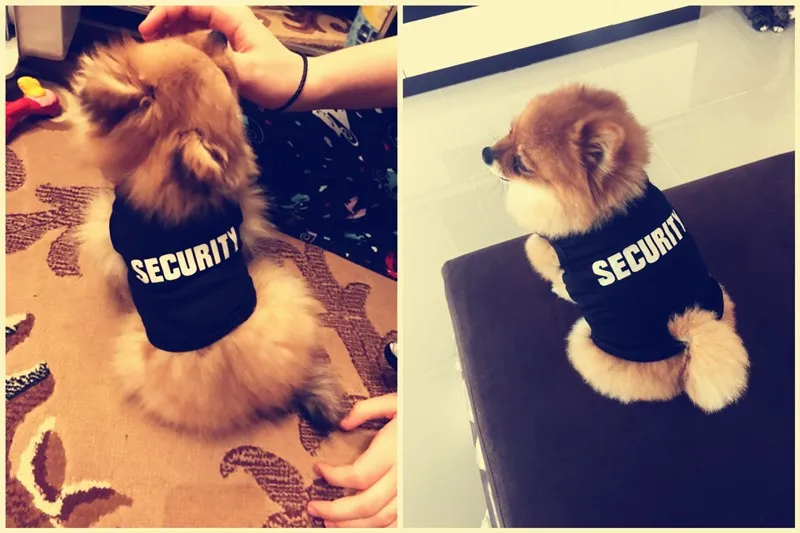 camisa pet, camisa de segurança para cachorro, camisa de segurança para gato, fantasia para pet, mundomiauauau, miauauau