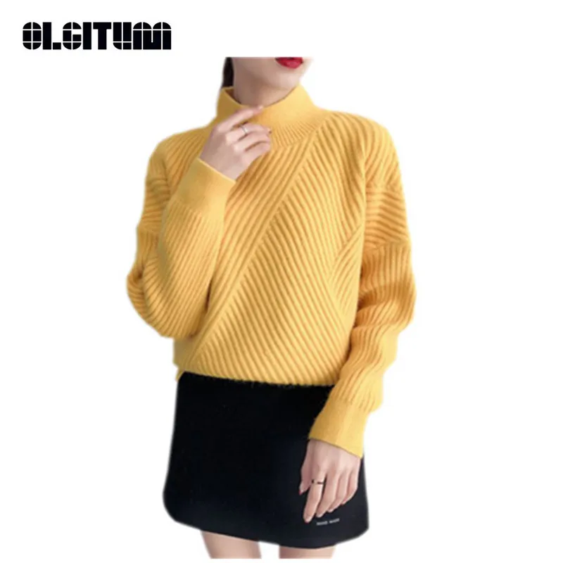 

New 2018 Autumn and Winter Women Sweater Pullover Turtleneck Sweater Thicken Long Sleeve Pullover and Sweater Causal Female Tops
