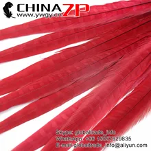 CHINAZP Завод Новое поступление премьер-Quality100pcs/Лот, больших размеров 40-45 см отлично окрашенная красный хвост фазана перья