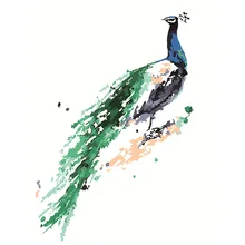 Павлин картинки красивые птицы красочный краски DIY живопись по номерам комплекты стены Книги по искусству Акриловая картина подарок украшения комнаты