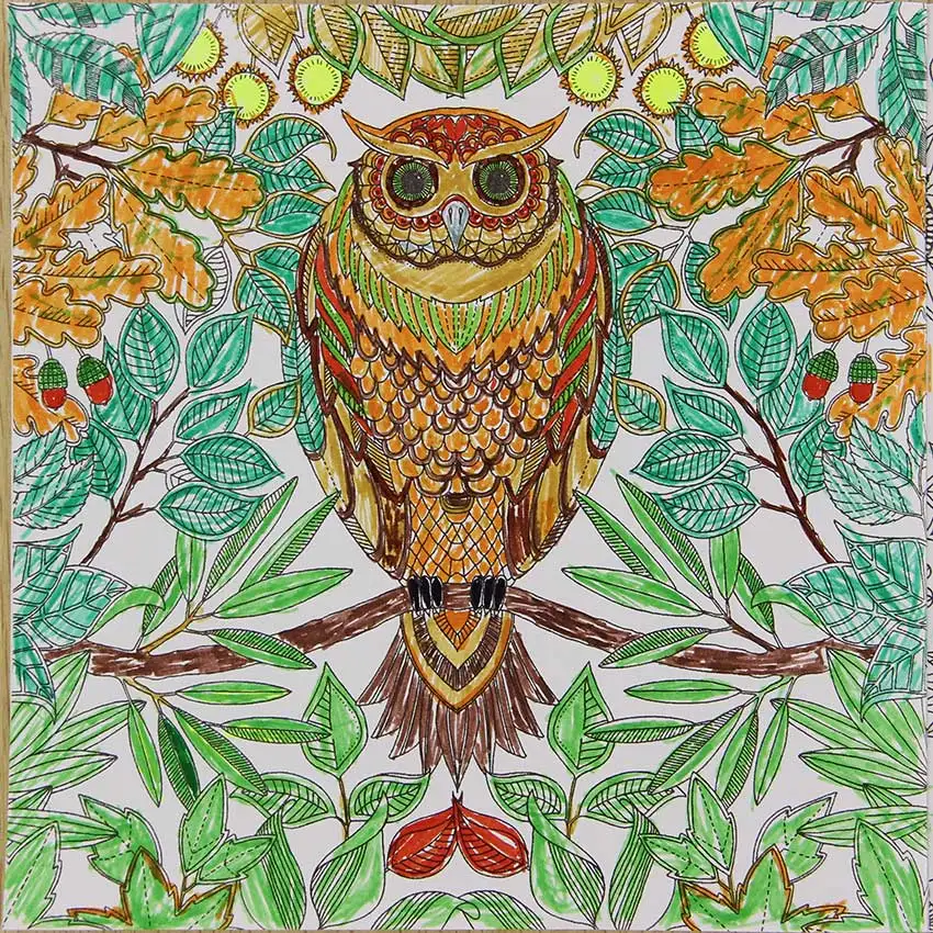 24 Pages Secret Garden English Edition Coloring Book For Children Adult Relieve Stress Kill Time Painting Drawing Book