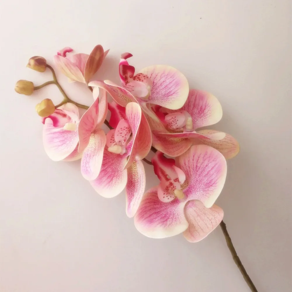 5p Real Touch Butterfly Orchid Flower Pink Cymbidium PU 3D Plant