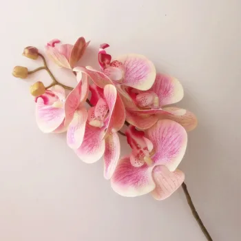 

5p Real Touch Butterfly Orchid Flower Pink Cymbidium PU 3D Plant Orchids Phalaenopsis Orchids for Artificial Decorative Flowers